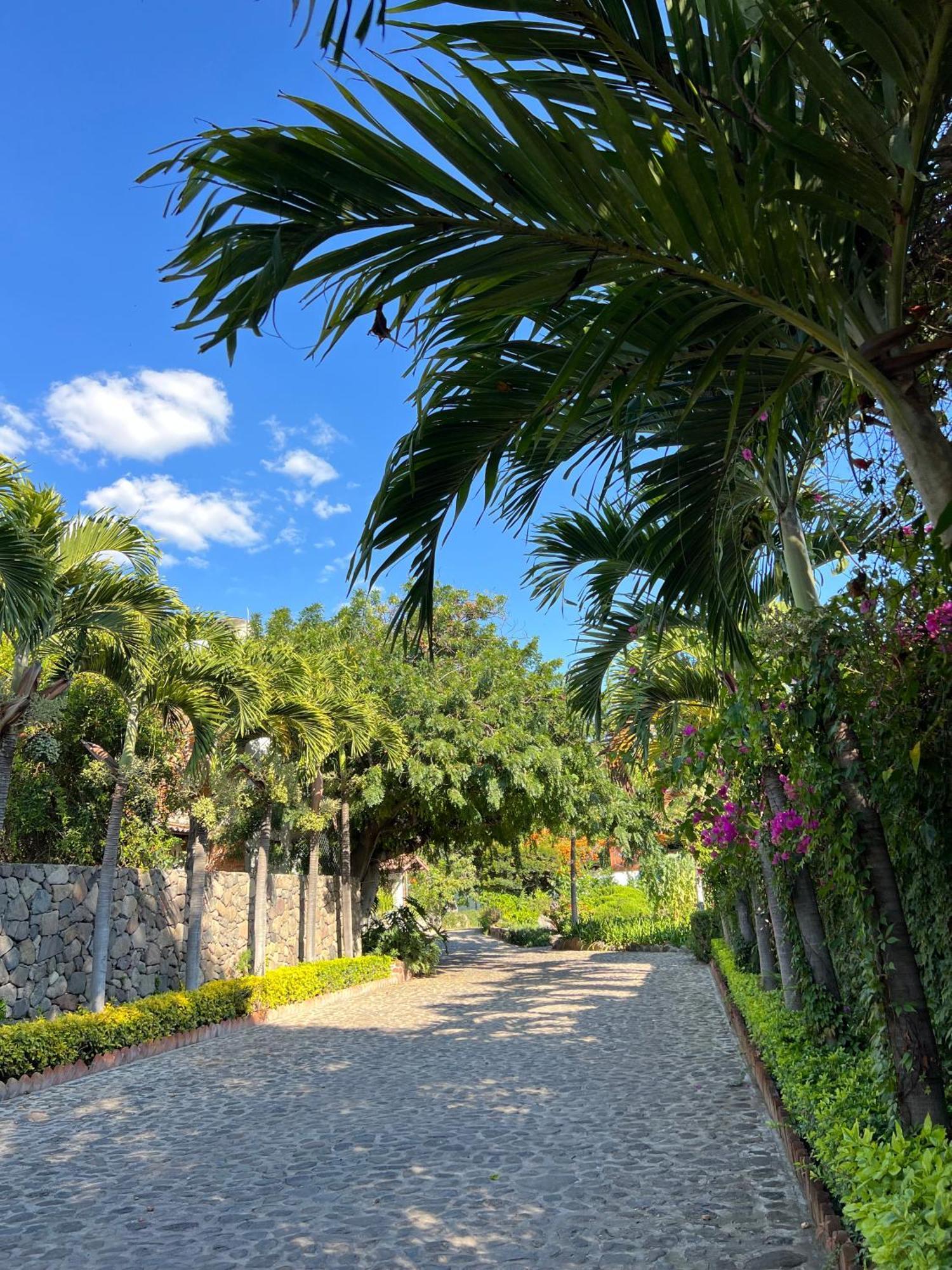 Mama Chuy Hotel & Villas San Juan Cosalá エクステリア 写真