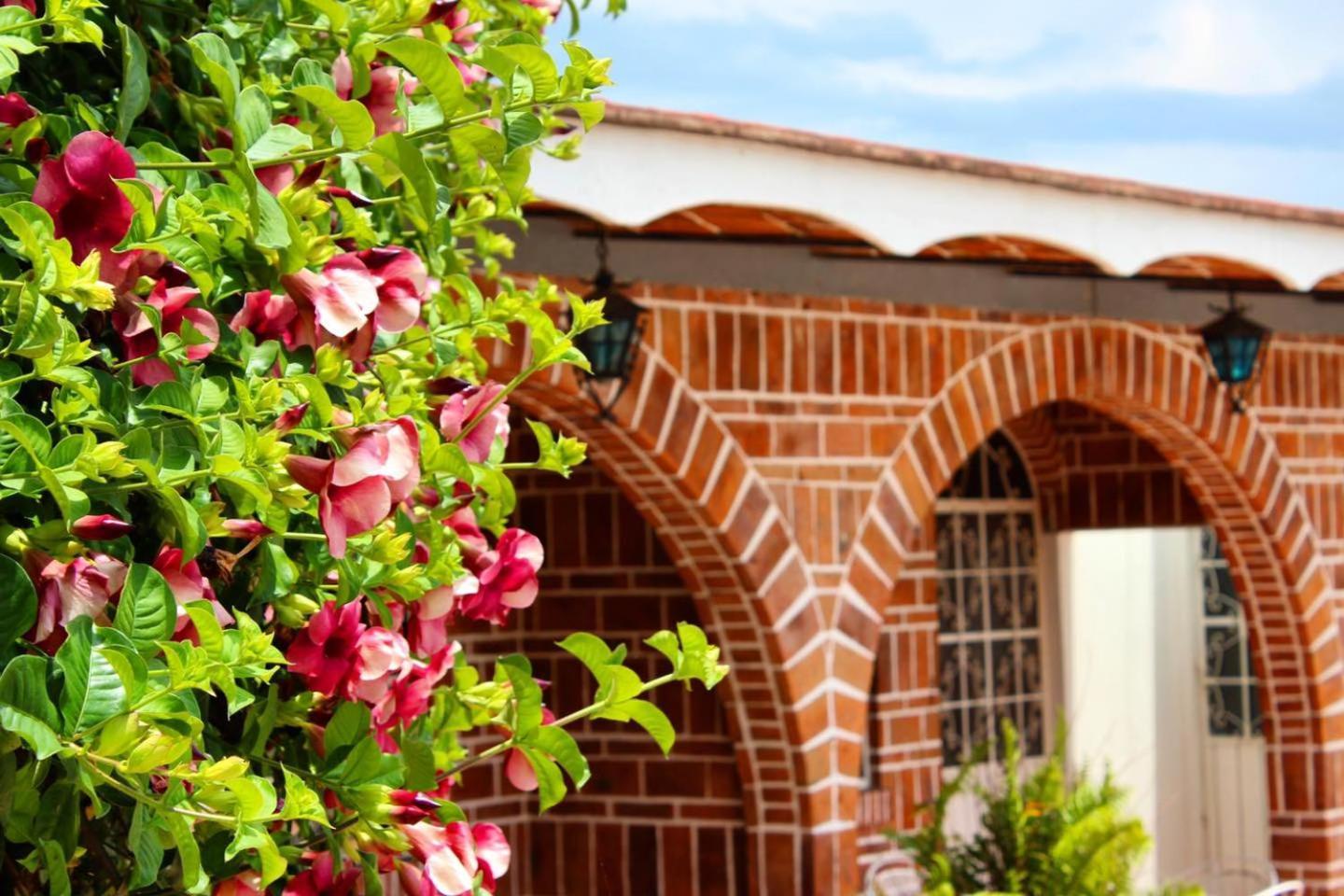 Mama Chuy Hotel & Villas San Juan Cosalá エクステリア 写真